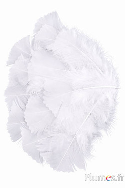 Pute mit Zacken - 6-8 cm - weiss
